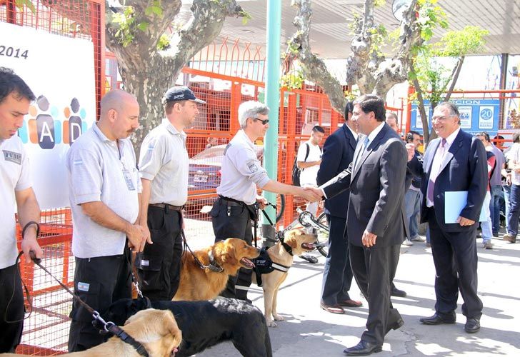 Operativo antidroga: buscan pistas sobre 95 kilos de cocaína