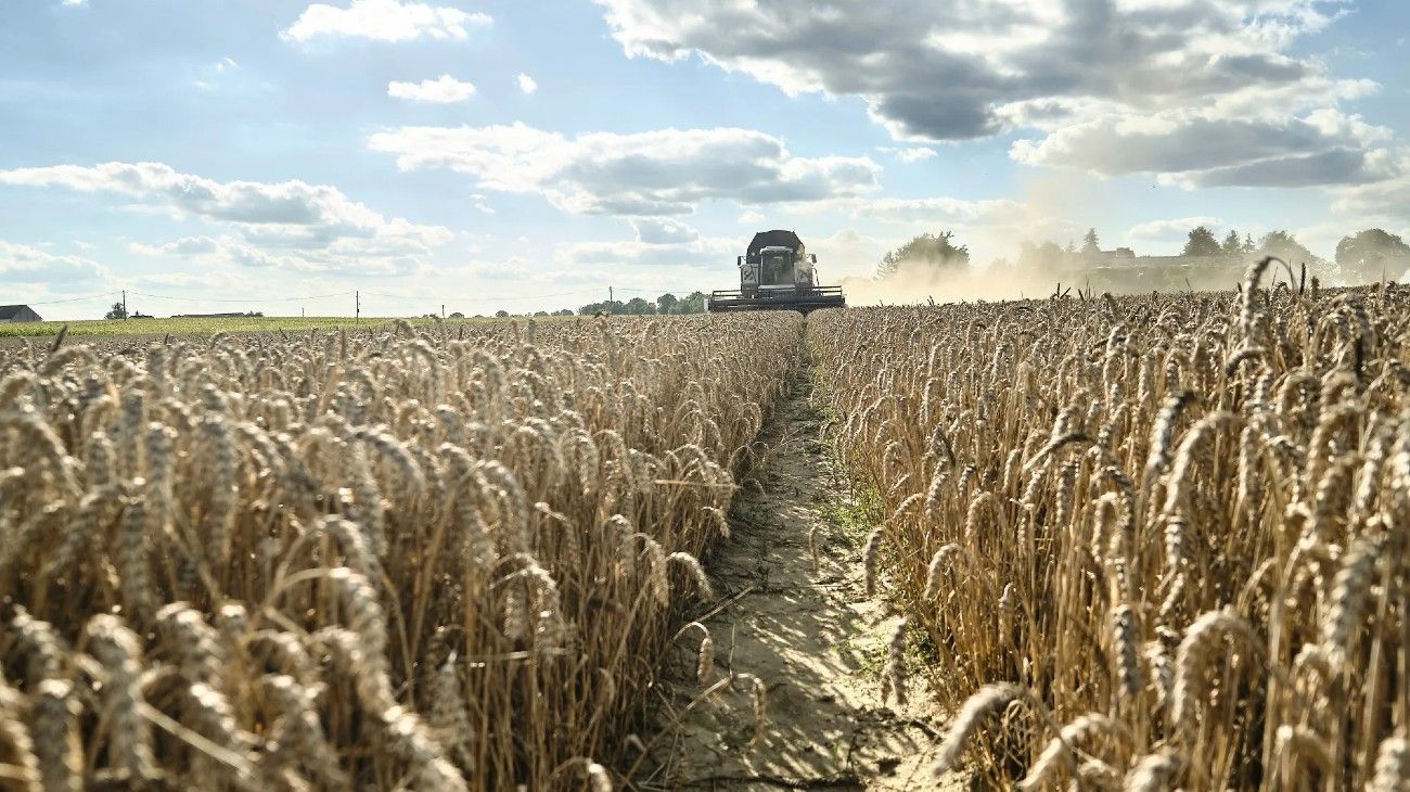 Agricultura para la Seguridad
