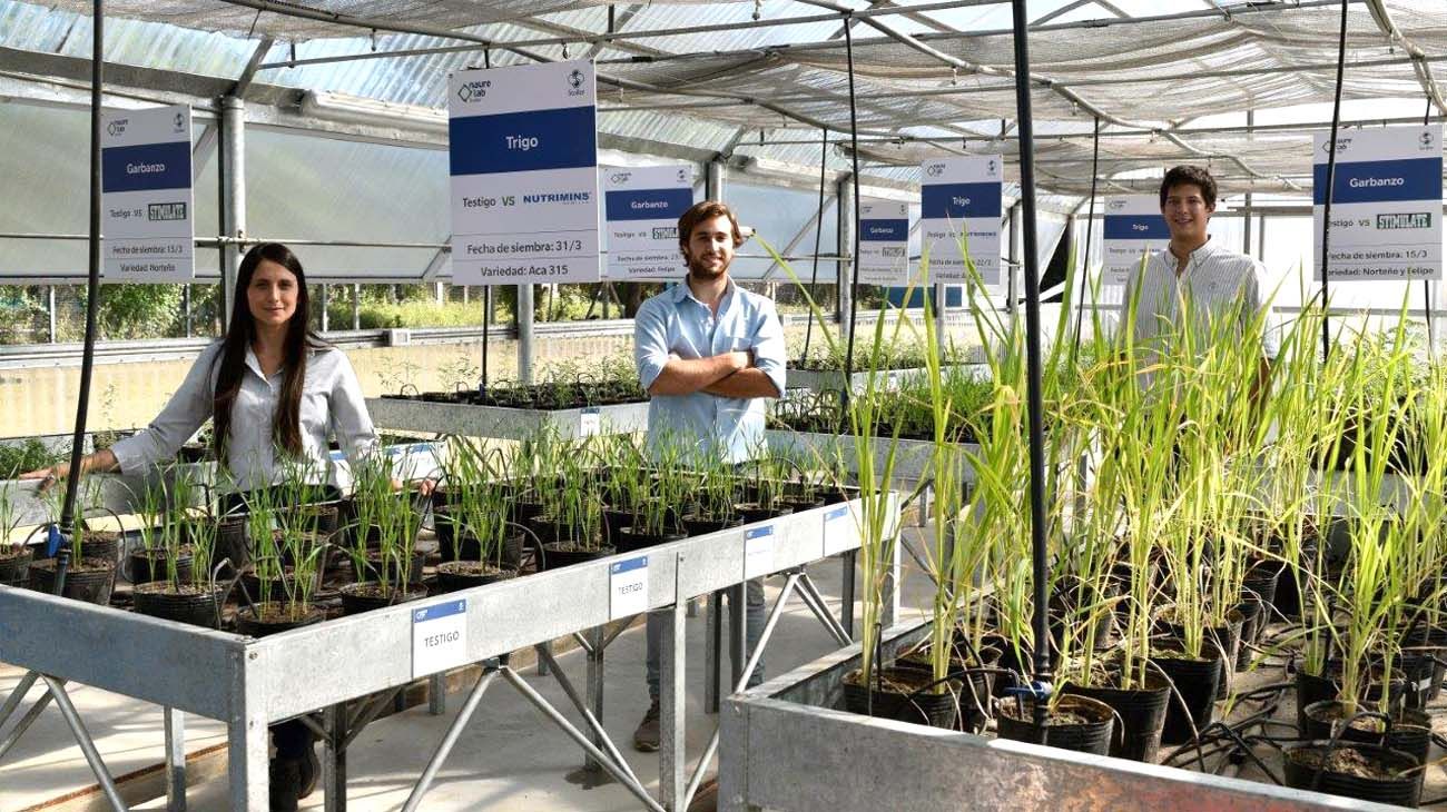 Pasar de director financiero a CEO, los retos de un ejecutivo del mundo del agro