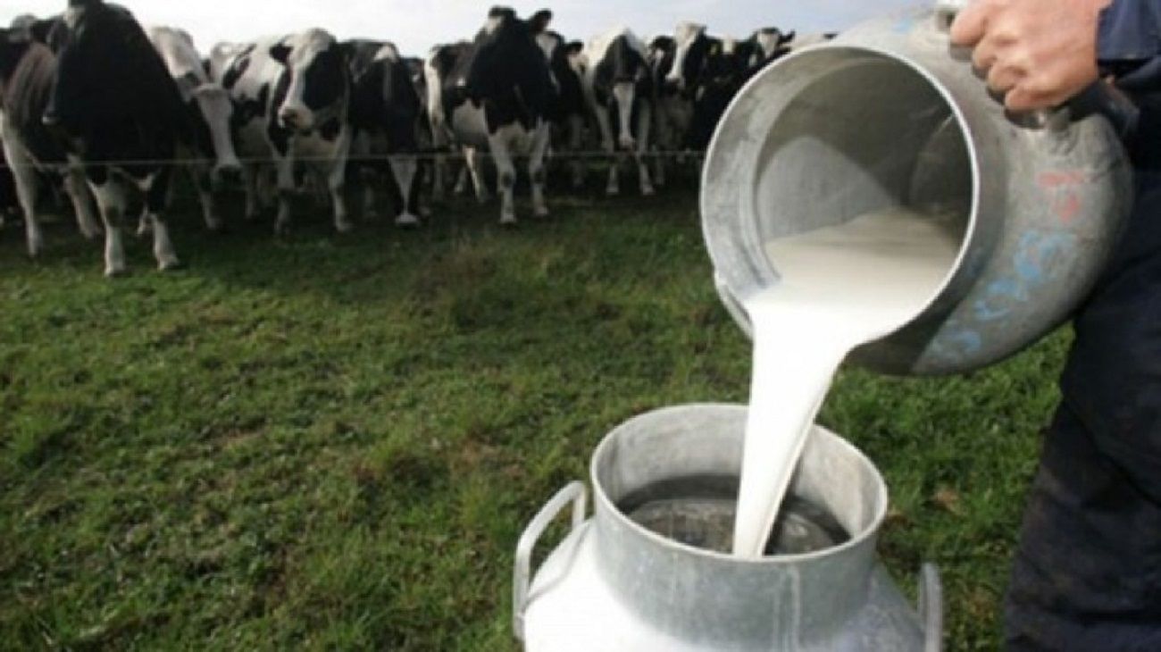 Producción lechera: “La caída de producción de este año tuvo que ver con fenómenos climáticos extremos”