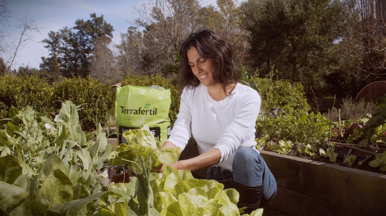 Terrafertil presenta un nuevo sustrato para la huerta familiar