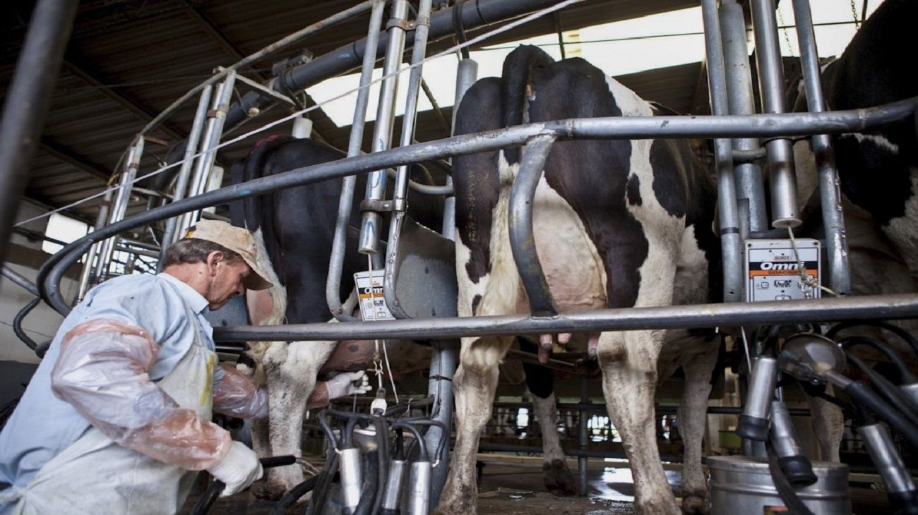 Desde la industria láctea PyME apuntan a incrementar las exportaciones pero sin descuidar el mercado interno