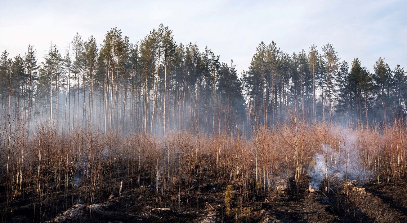 Qué pasa con la radiación tras los incendios en la zona de exclusión de Chernobyl
