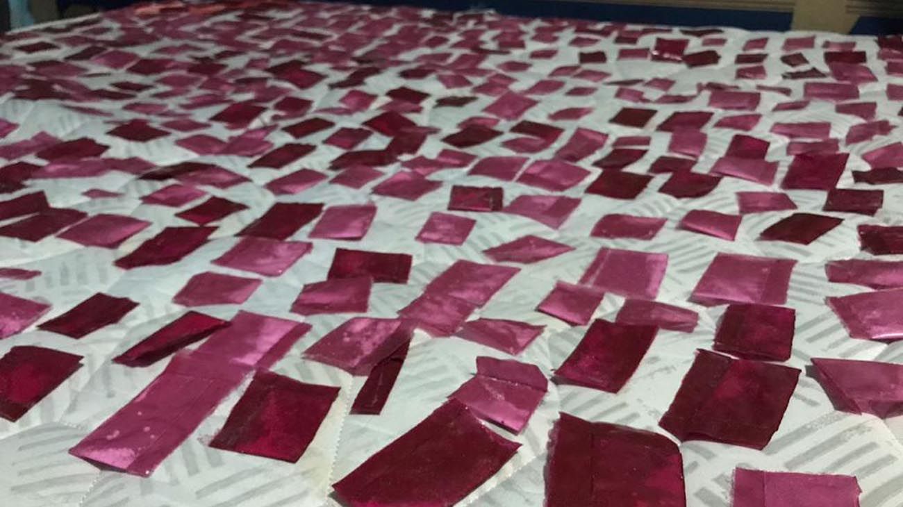 Revelan que la cocaína envenenada contenía carfentanilo, que se usa para sedar elefantes