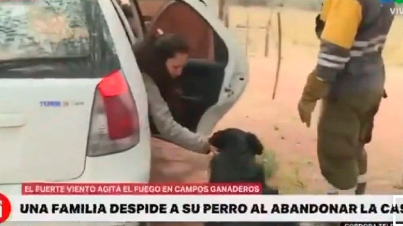 Incendios forestales en Córdoba: una familia evacuada se despidió de su perro y causó indignación en redes