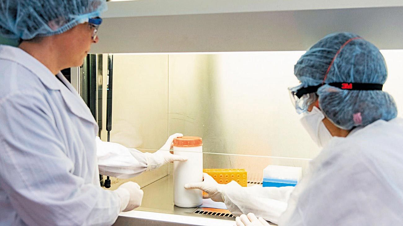 El Gobierno compró medio millón de reactivos y más laboratorios podrán hacer el diagnóstico