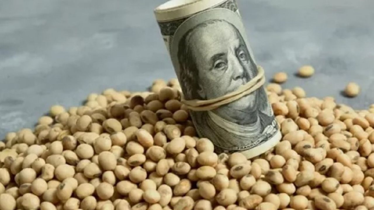 Incertidumbre en el campo: ¿Se aproxima un dólar soja 4?