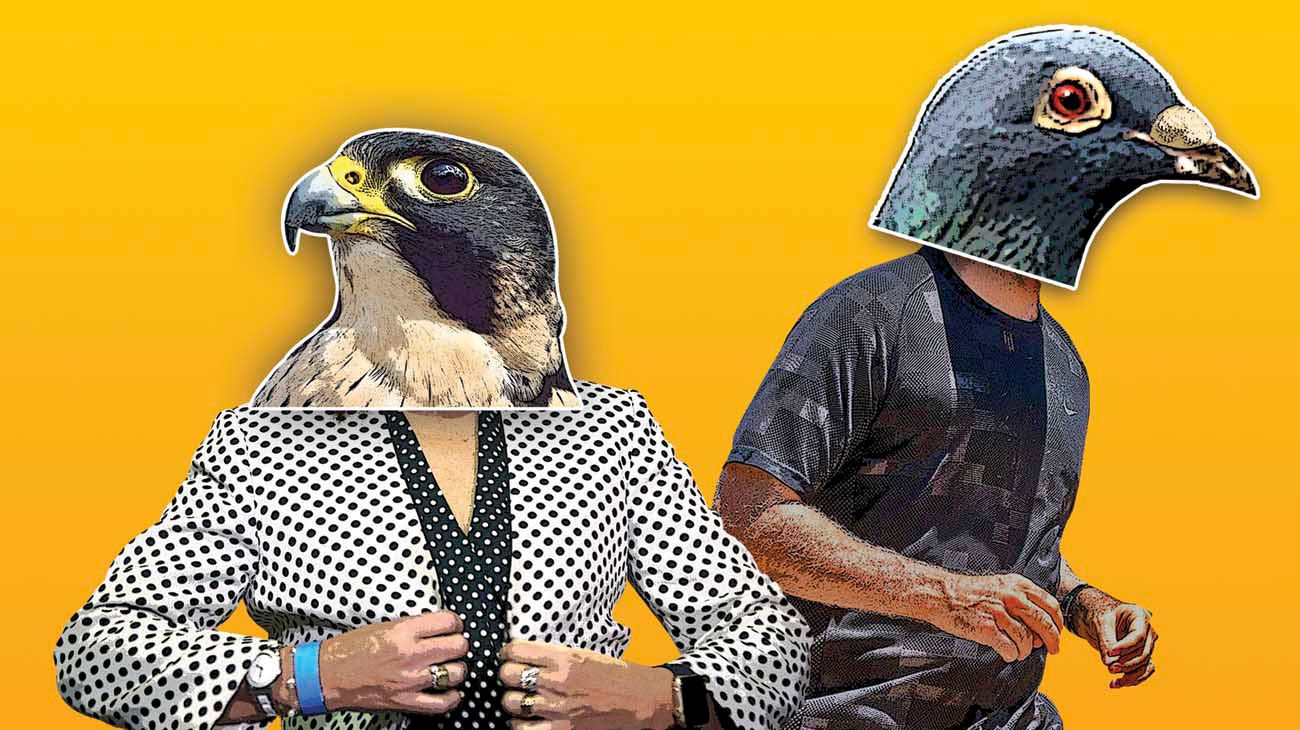 Secretos de la política aviar