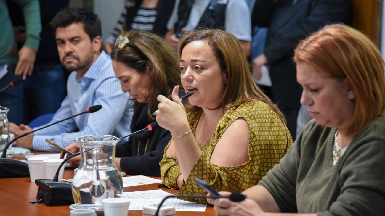 Ley de Alquileres: referentes del sector exponen en Diputados