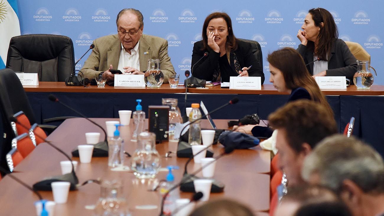La Ley de Alquileres sigue en la agenda de Diputados