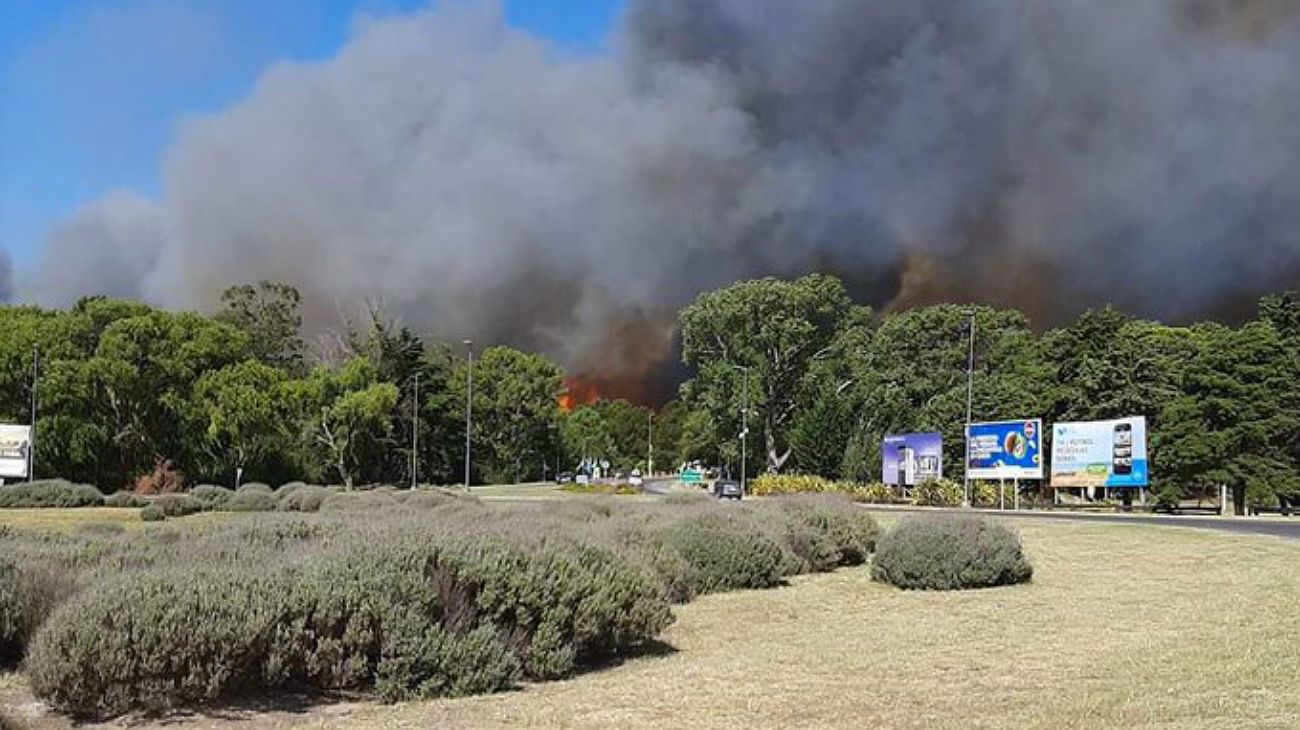 Villa Gesell sin paz: un fuego sin control invade la entrada a la ciudad