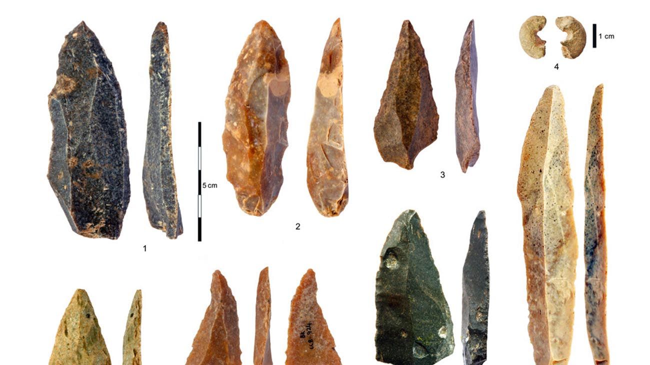 Descubren en Bulgaria una muela humana de 45 mil años