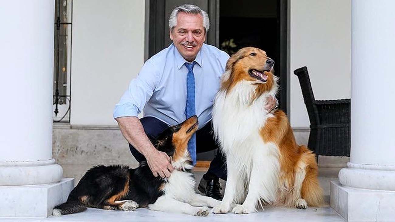 Día del animal: las tiernas mascotas influencers de Alberto Fernández