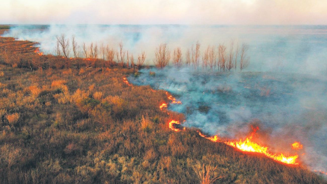 Crecen los incendios en todo el país y la Ley de Humedales tendrá su revancha en el Congreso