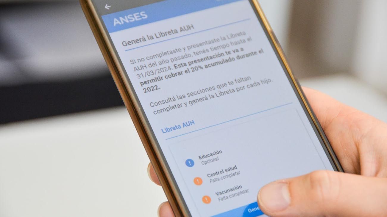 MI ANSES: cómo consultar las liquidaciones de junio para AUH y SUAF