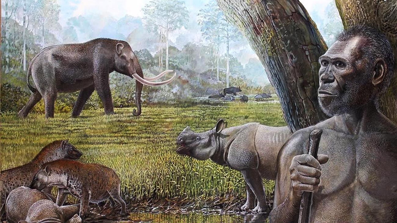 Los humanos fuimos supercarnívoros durante dos millones de años