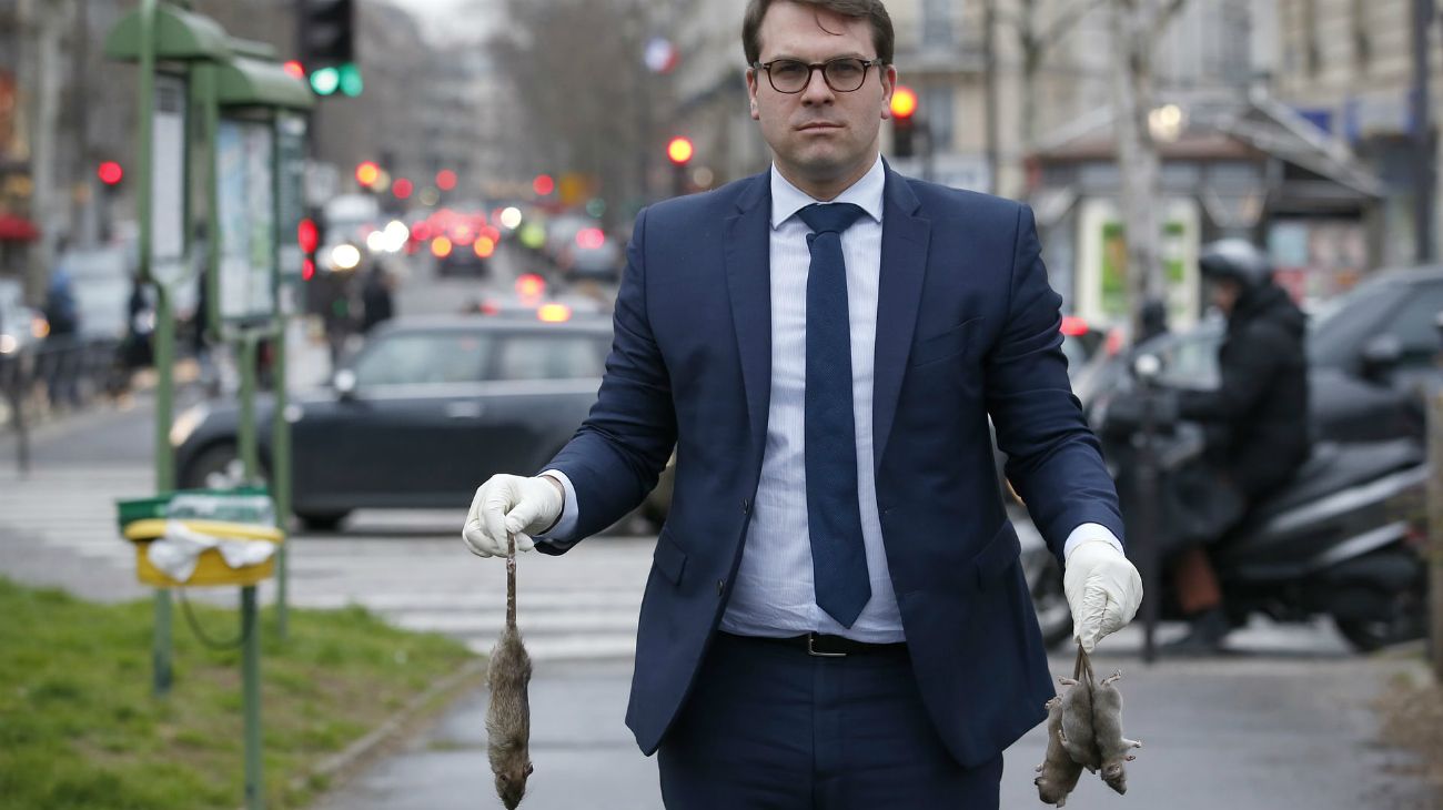 Un alcalde de París lanzó un mapa online para atrapar a las ratas