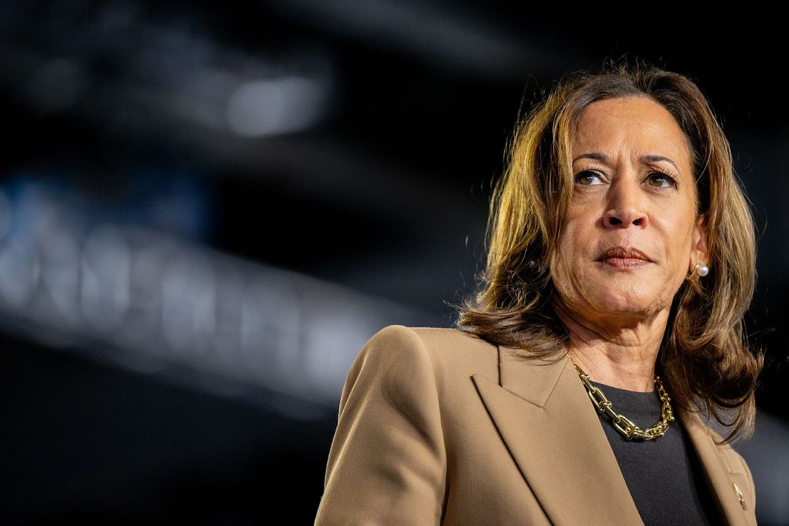 Entre Joe Biden y el factor económico: el partido Demócrata reparte culpas tras la dramática derrota de Kamala Harris