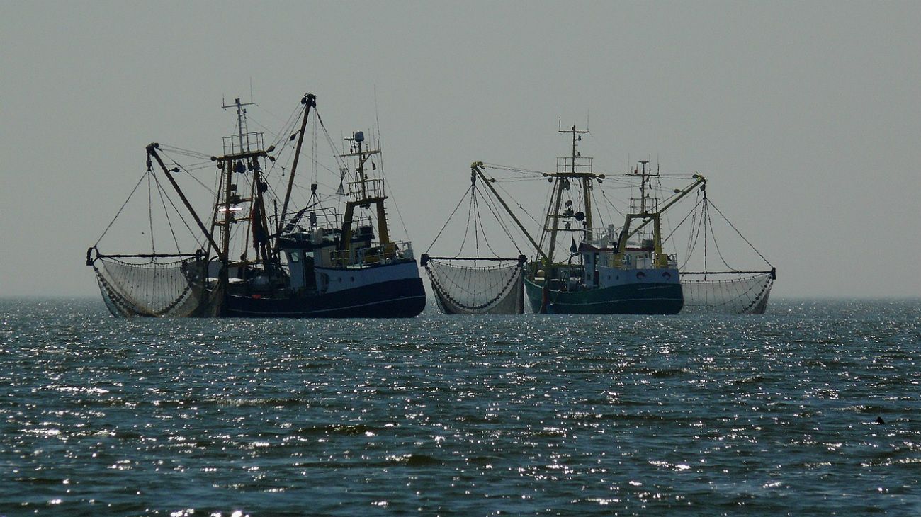 La pesca ilegal y el Estado en el mar