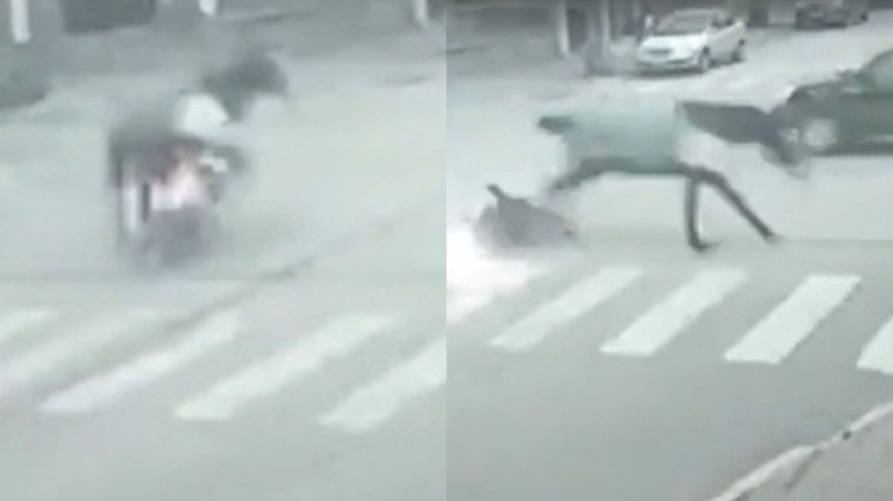 Insólito: en Necochea un caballo atropelló a una motociclista que terminó internada