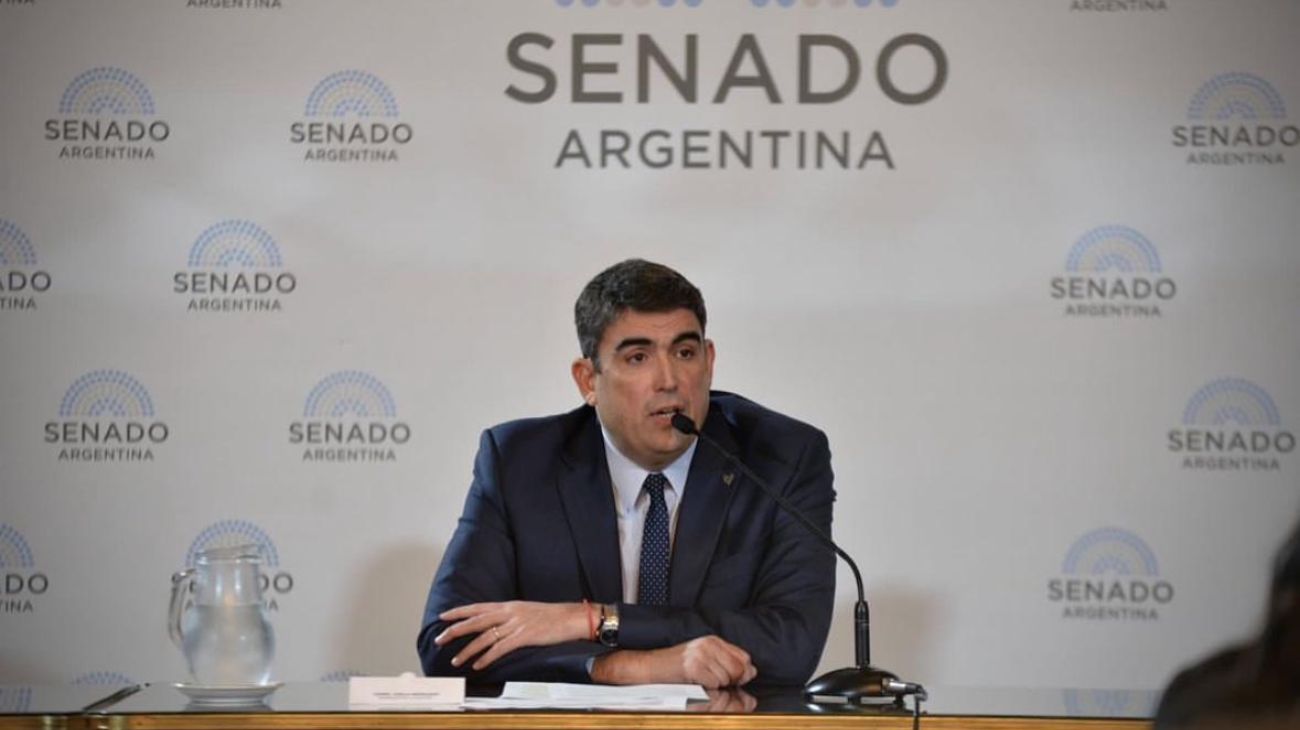 Daniel Bensusán: "La postura de Unión por la Patria en el Senado es rechazar la ley en general"