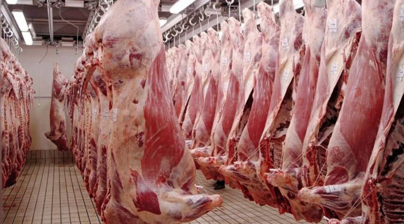 Mercado de Cañuelas: sube el valor del ganado en pie