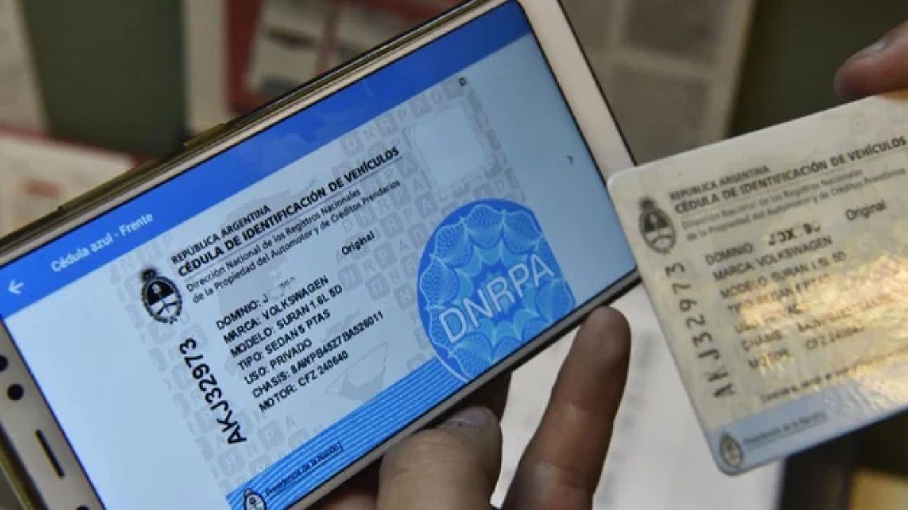 El Gobierno reglamentó la nueva cédula azul: cómo es el nuevo sistema