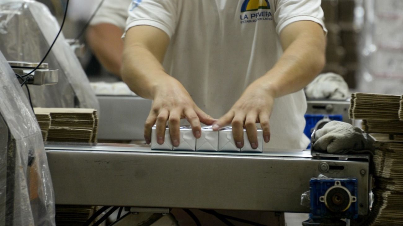 Las exportaciones de lácteos crecieron 31,6% con respecto al año pasado