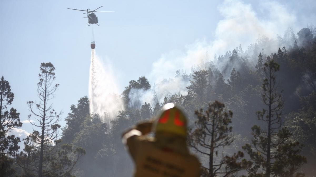 Incendios en Chubut: el fuego ya consumió más de 2.000 hectáreas en el Parque Nacional Los Alerces