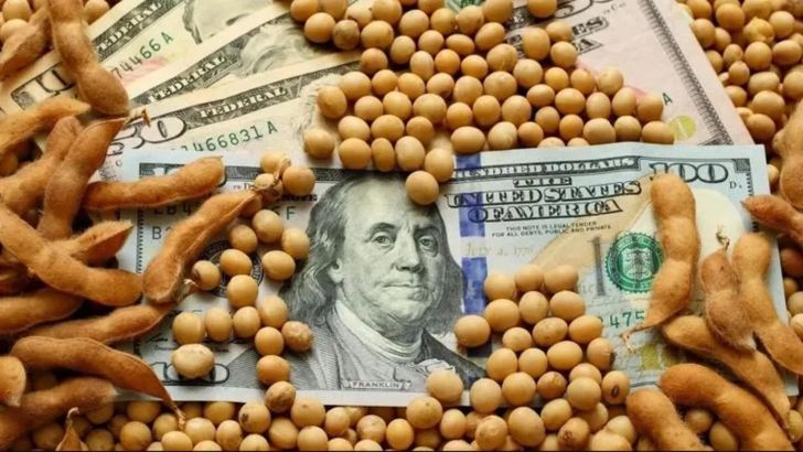 Se amplía la brecha entre el peso argentino oficial y el paralelo