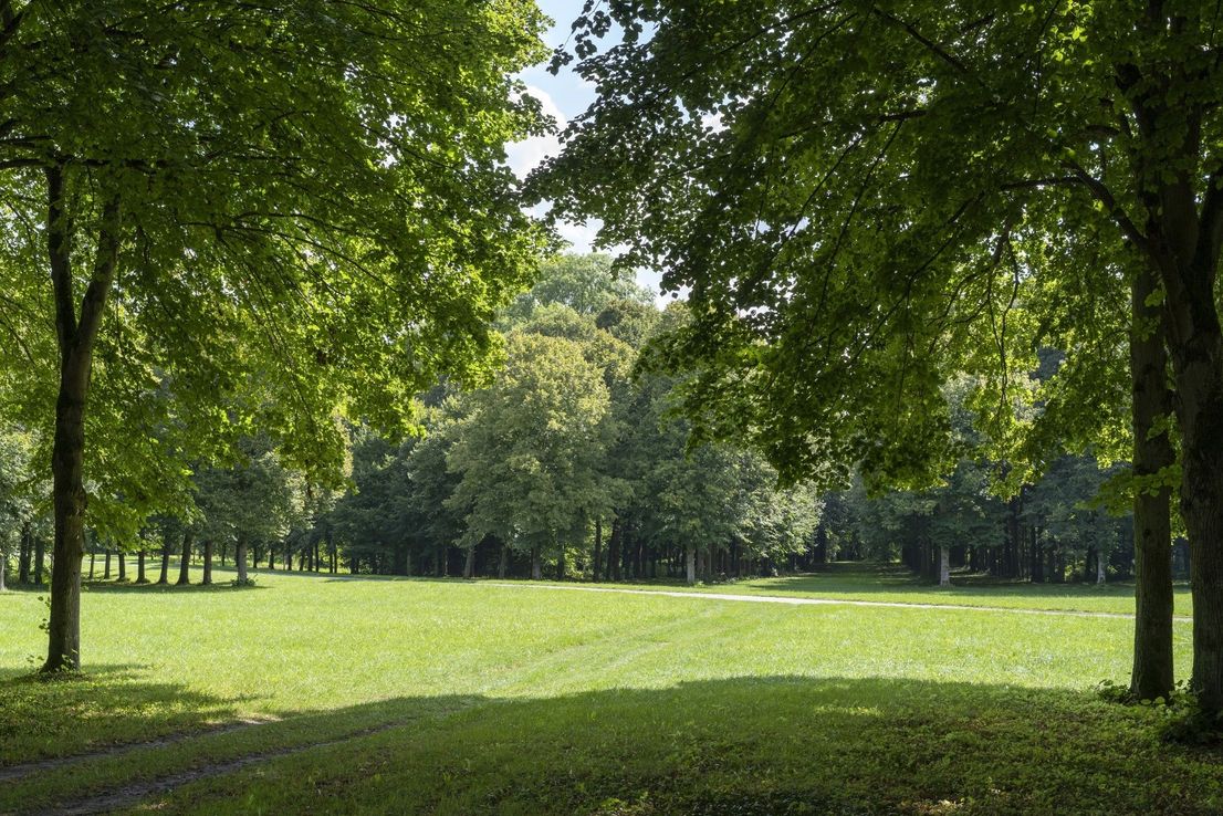 El cambio climático devasta los frondosos jardines de Versalles