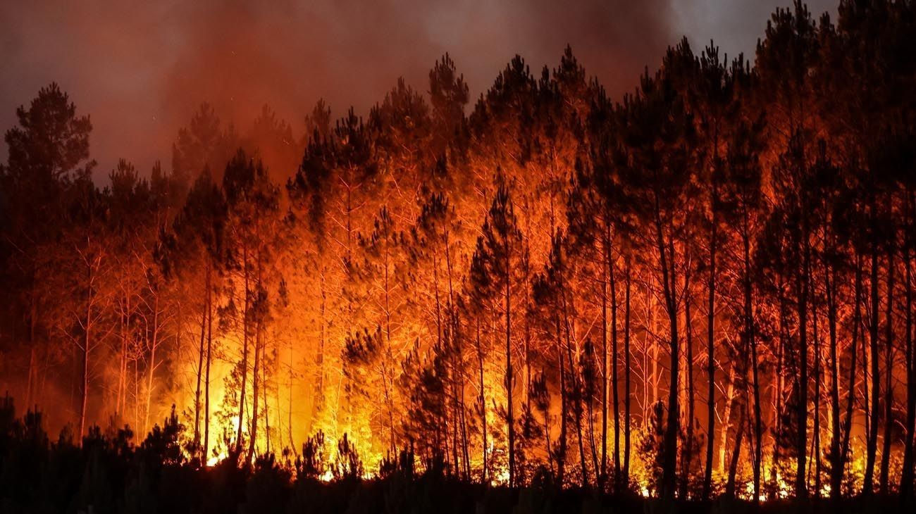 El Pacto de Mayo se olvidó por completo de la ecología