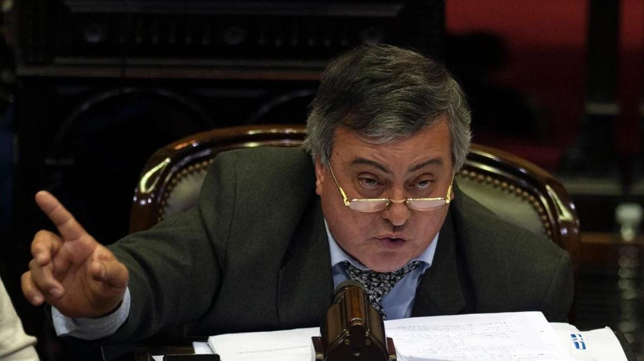 Carlos Selva: “Ni Sergio Massa ni nadie podrían darle una nueva impronta al Gobierno sin un consenso político transversal”