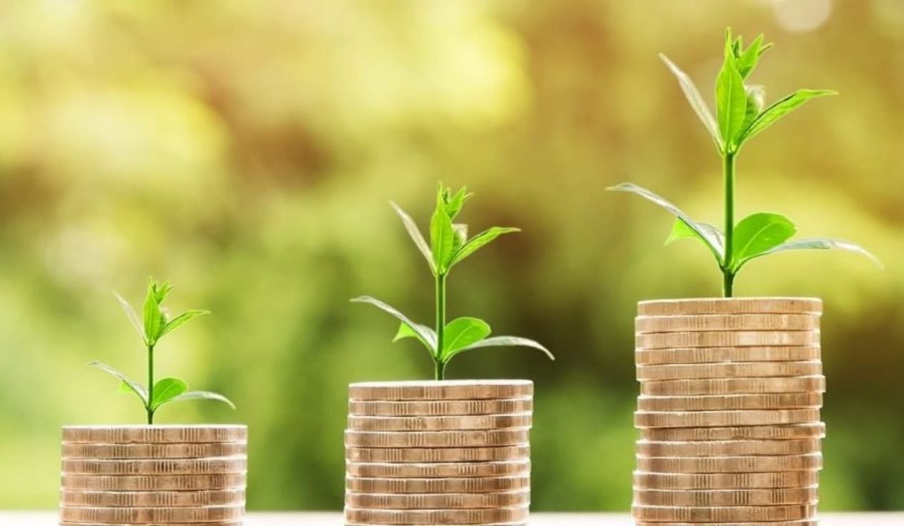España busca recaudar 5.000 millones de euros con el debut de un bono verde