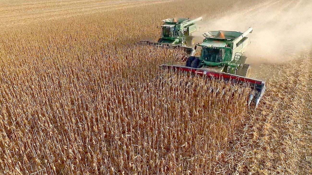 Fuerte rechazo del campo a la suspensión de registros de exportación de maíz