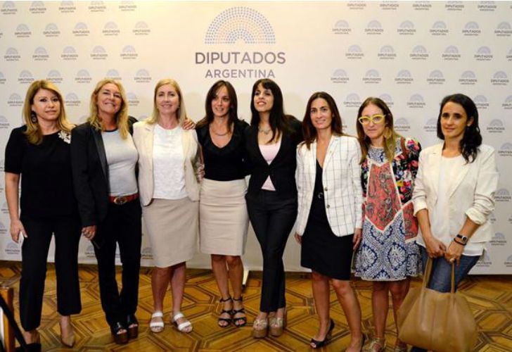Margarita Stolbizer, Victoria Donda y Malena Galmarini adhieren al paro del 8M