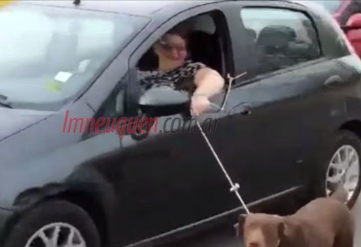 La multaron tres veces por "pasear" a su perro desde el auto