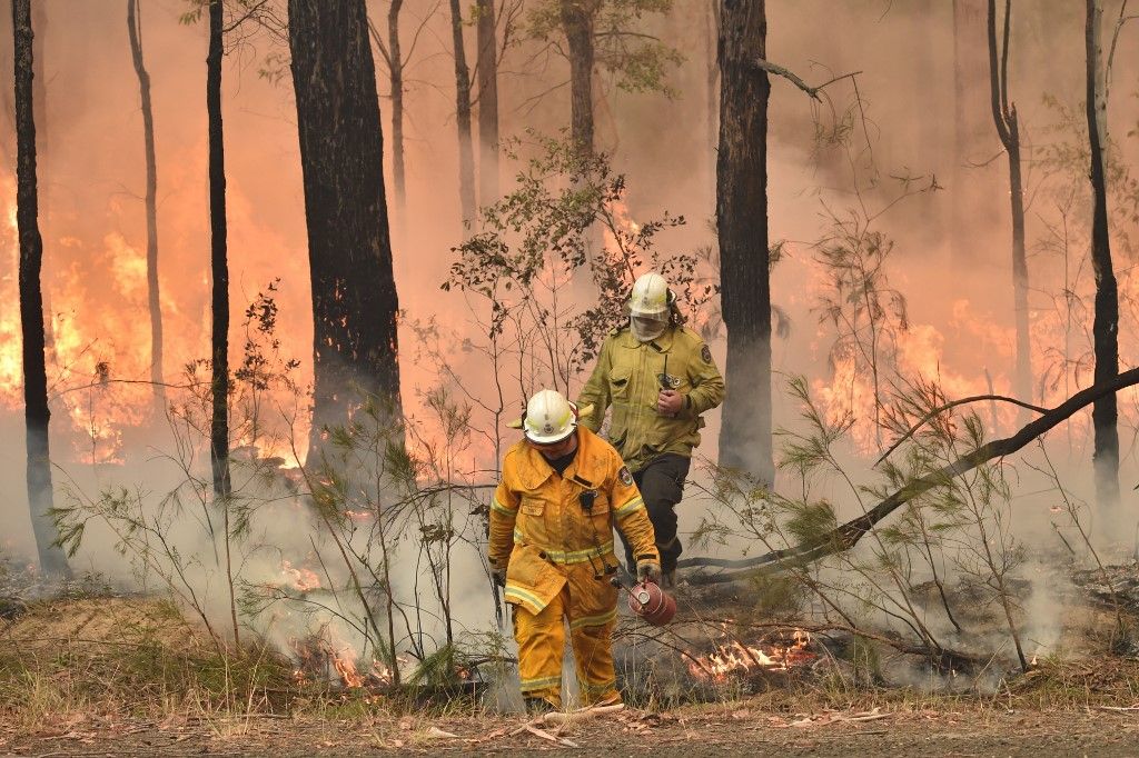 El humo de los incendios forestales de Australia llegó a la Argentina y Chile