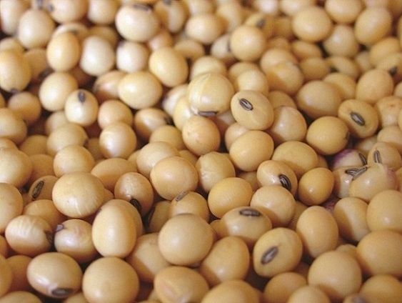 Argentina recurre a importaciones de soja en un comercio revuelto
