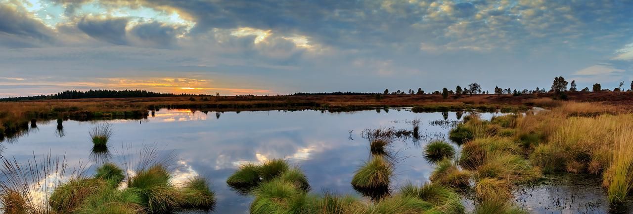Sustentabilidad y humedales: un tópico actual pero un problema pasado