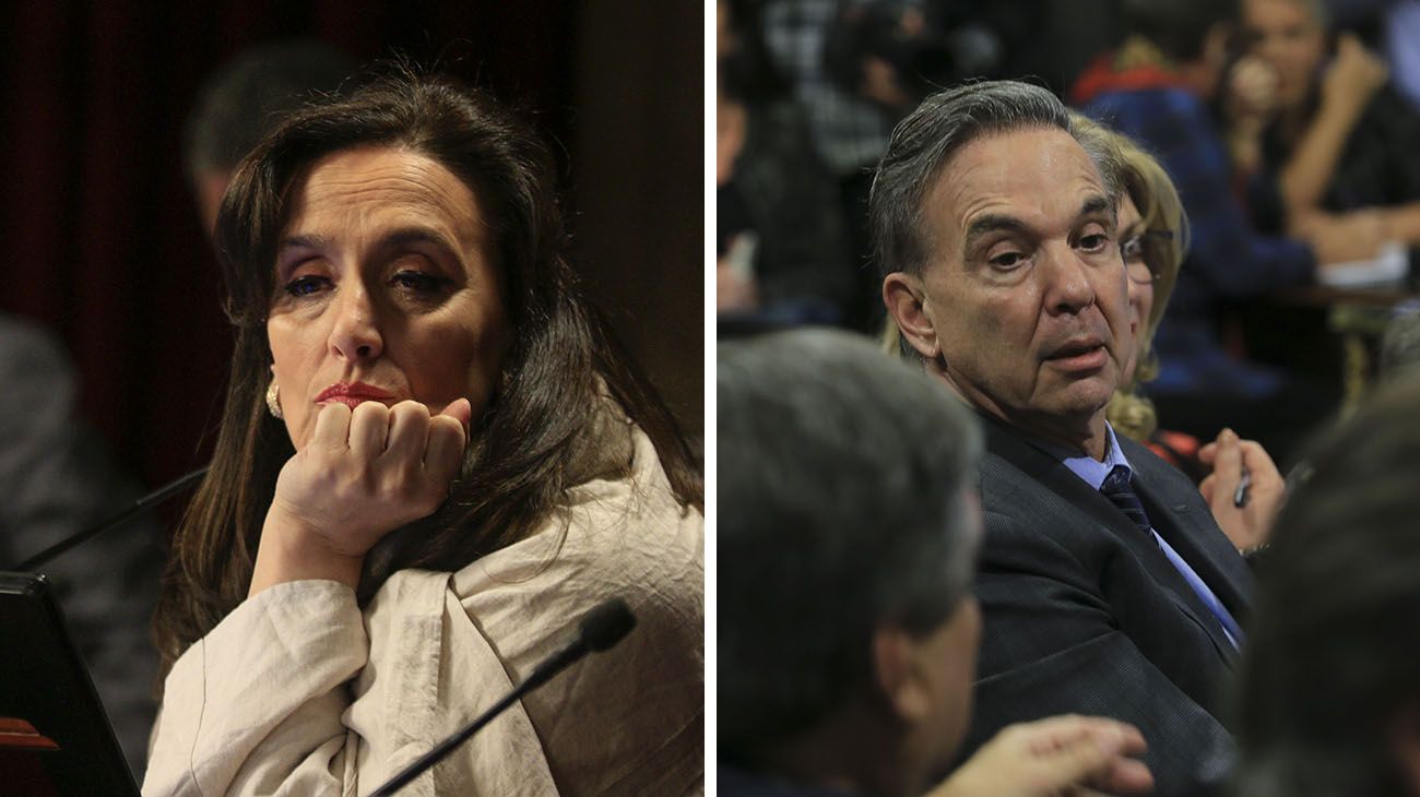 Michetti vs. Pichetto: la pelea por el aborto en el Senado