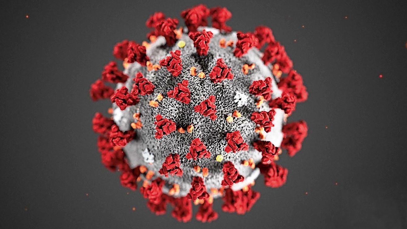El coronavirus es 10 veces más mortal que la gripe estacional