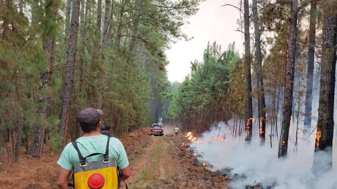 Incendios en Corrientes: un hotel quedó rodeado por el fuego y evacuaron a los turistas