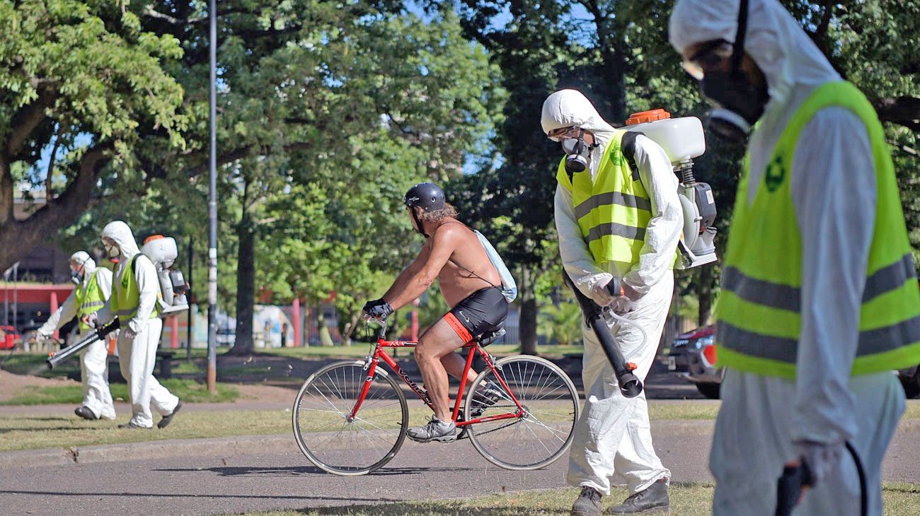 Invasión de mosquitos: aumentó el precio de los repelentes y en muchos casos no se consiguen