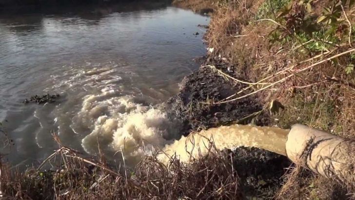 Falta de mérito a dirigentes de Arcoop acusados de contaminar