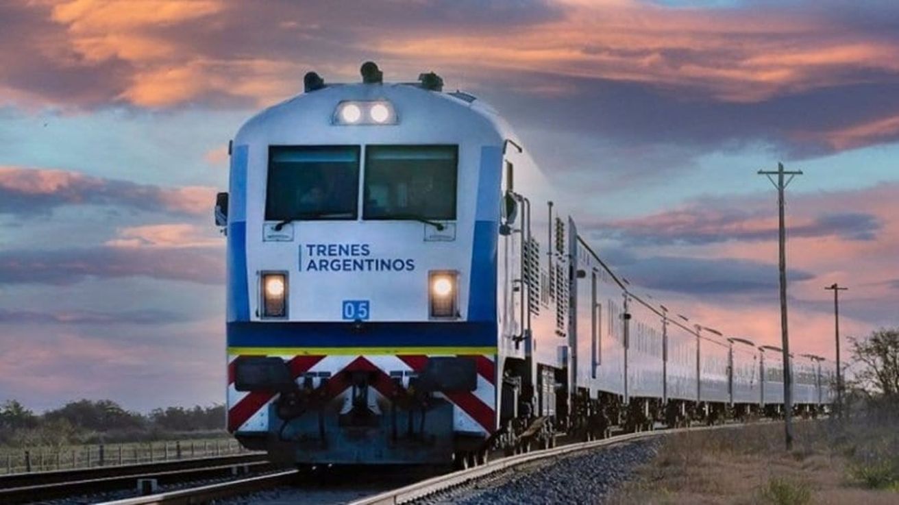 José C. Paz: dos chicos saltaron a las vías para rescatar a su perro y murieron arrollados por el tren