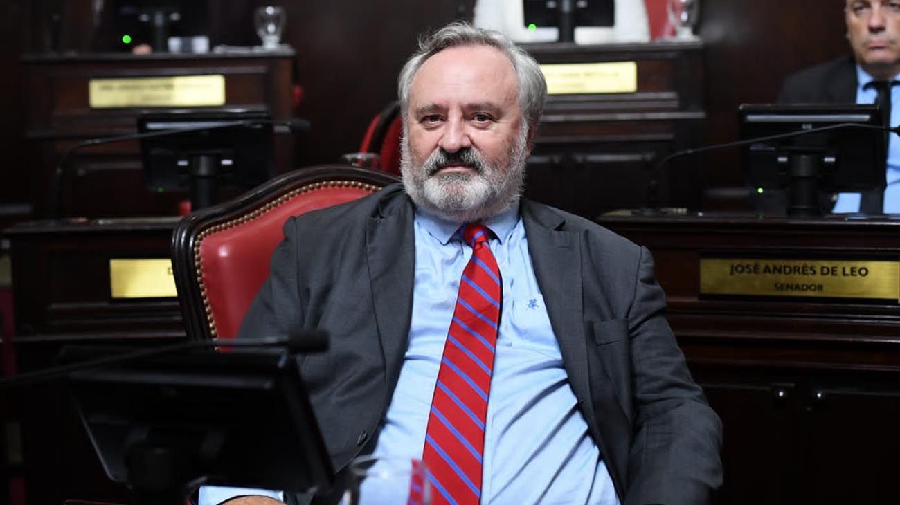 Elecciones: un ex ministro de Vidal presentó un proyecto para desdoblar los comicios en Buenos Aires