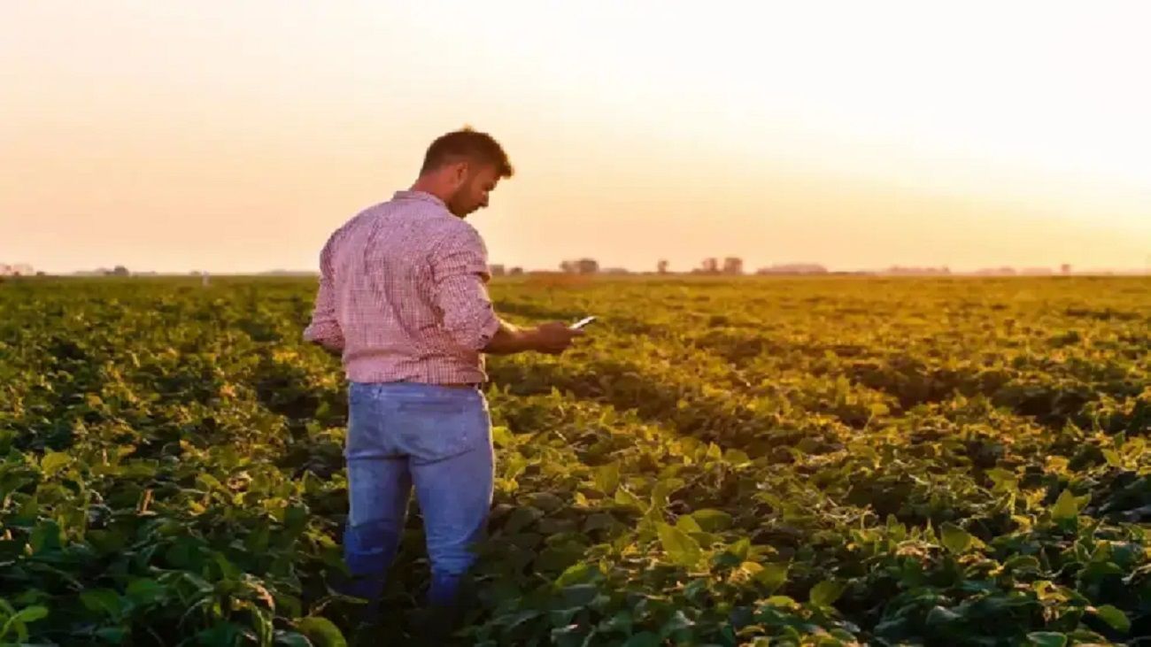 Córdoba impulsa el seguro multiriesgo agrícola: “Son 600.000 hectáreas y abarca todo tipo de riesgos”
