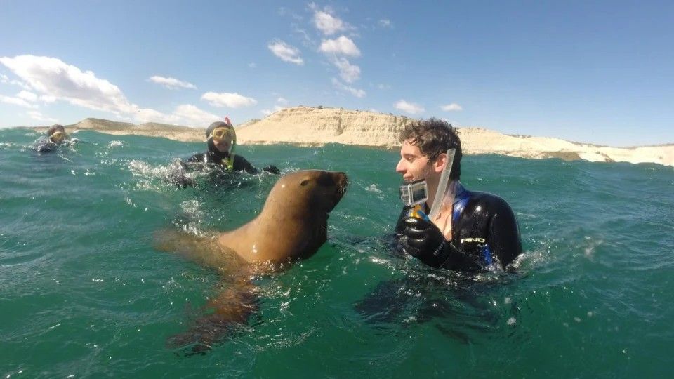 El plan de Puerto Madryn para anticipar ventas de turismo