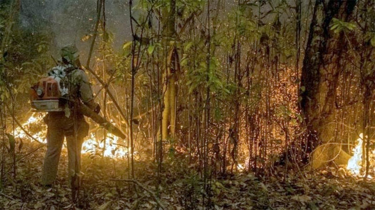 El Amazonas es de Brasil, pero la sequía es nuestra